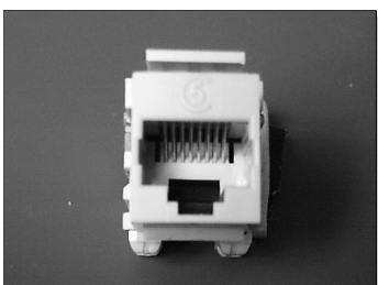 Jack RJ45 keystone